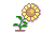 daisy copy
